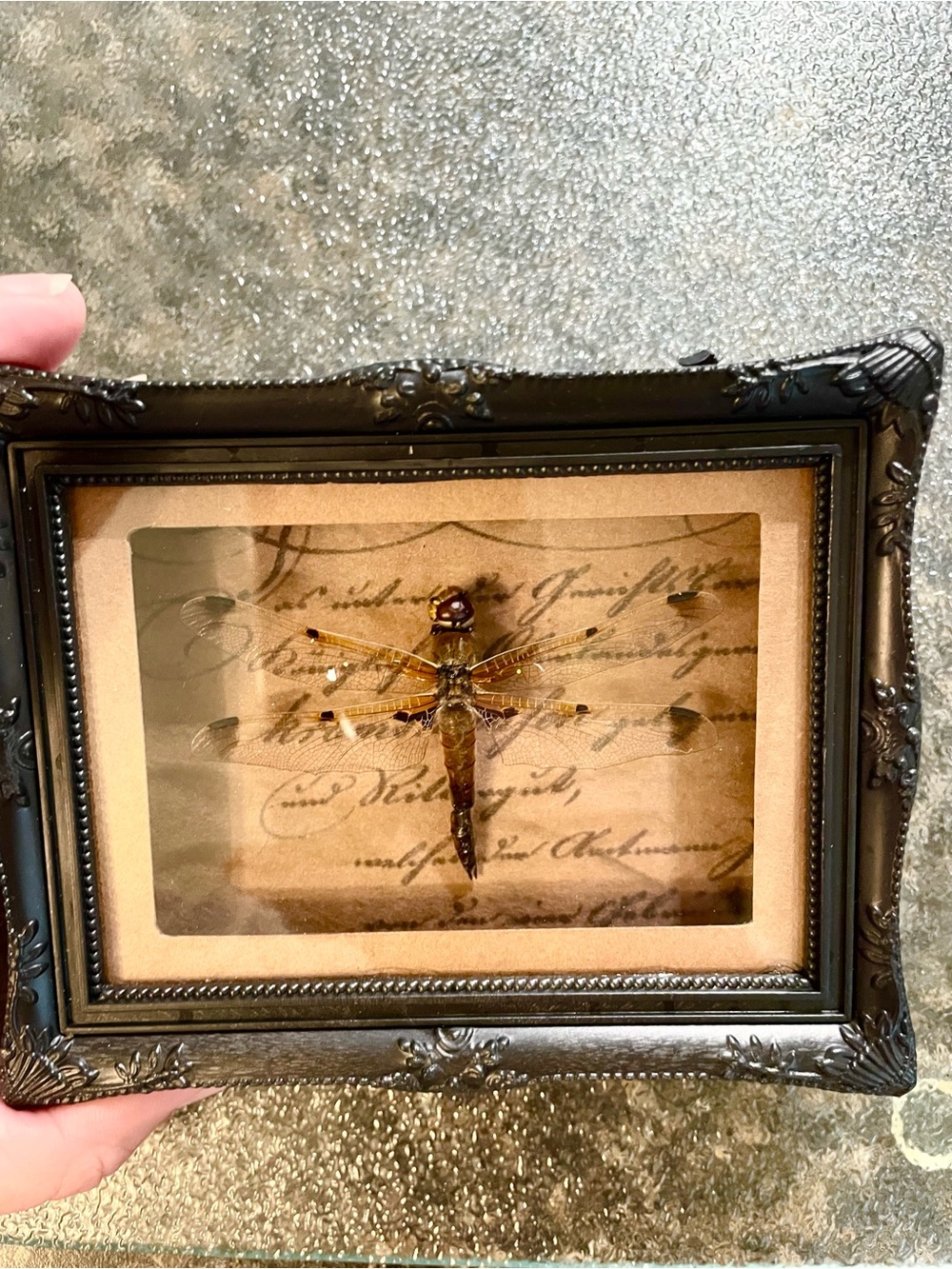 Framed Dragonfly Magnet